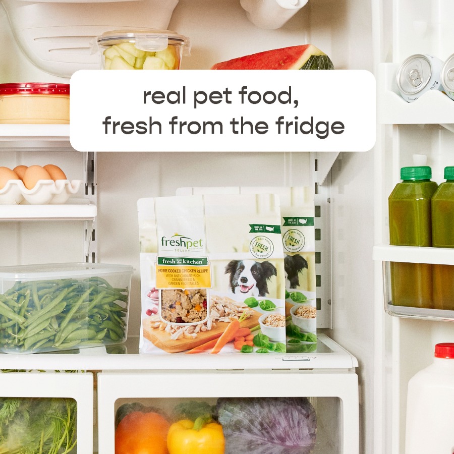4 pack Fresh Dog Food, Fresh F - Home Cooking Recipes avis et prix