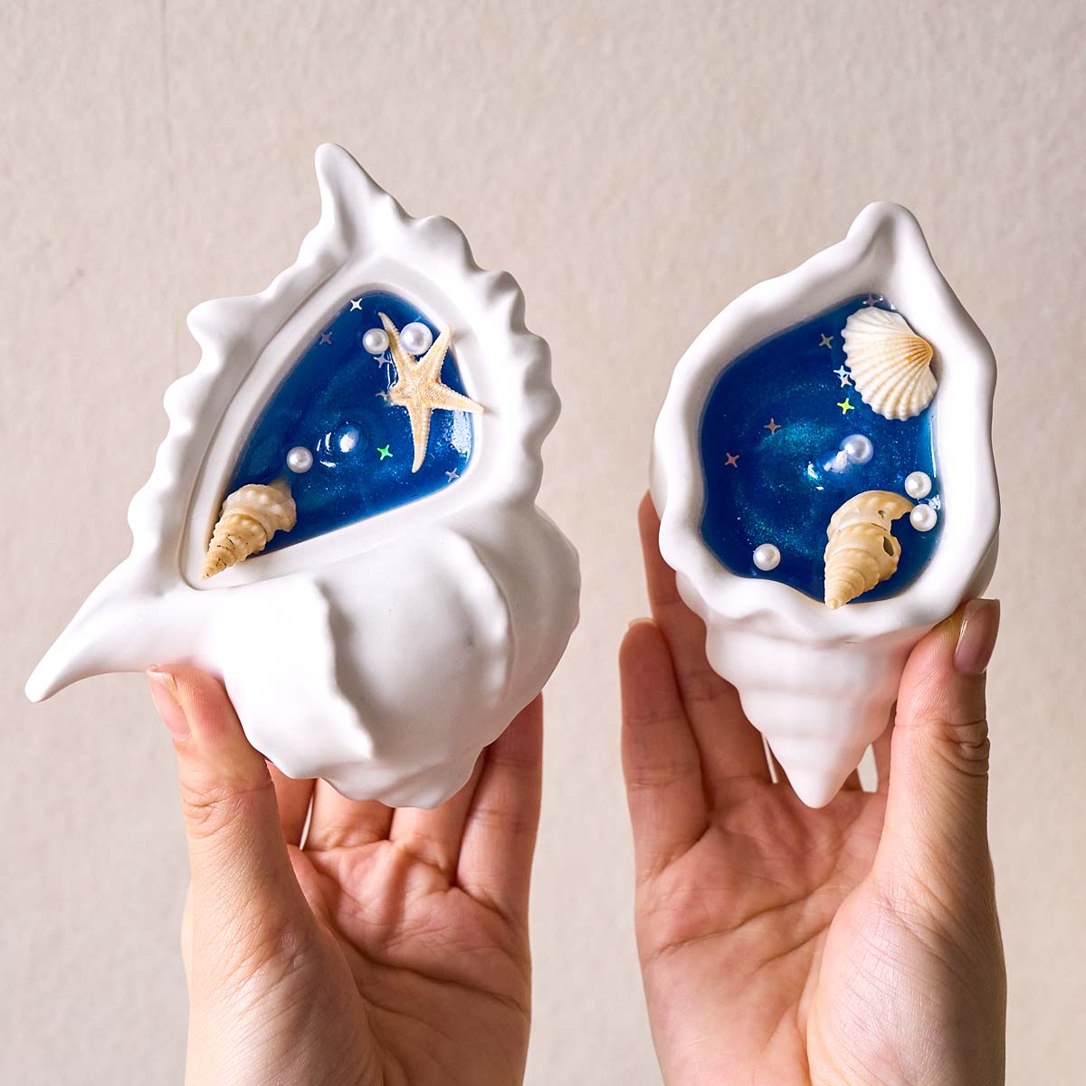 Conch Flowerpot Silicone Mold  - Idli Steamer Mold avis et prix