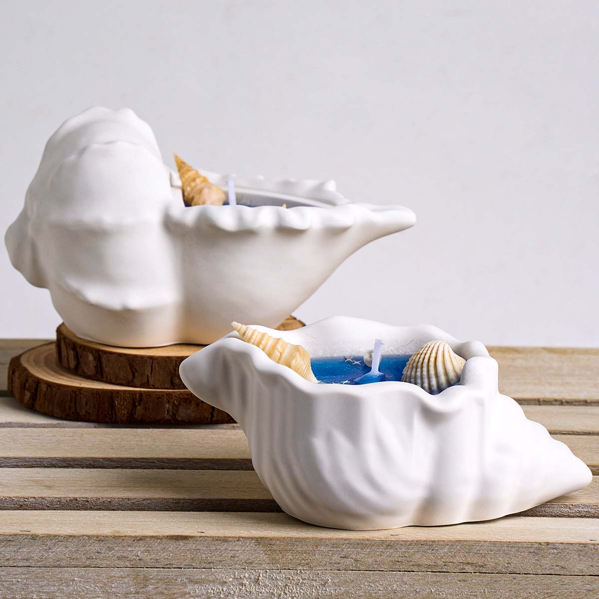 Conch Flowerpot Silicone Mold  - Idli Steamer Mold avis et prix