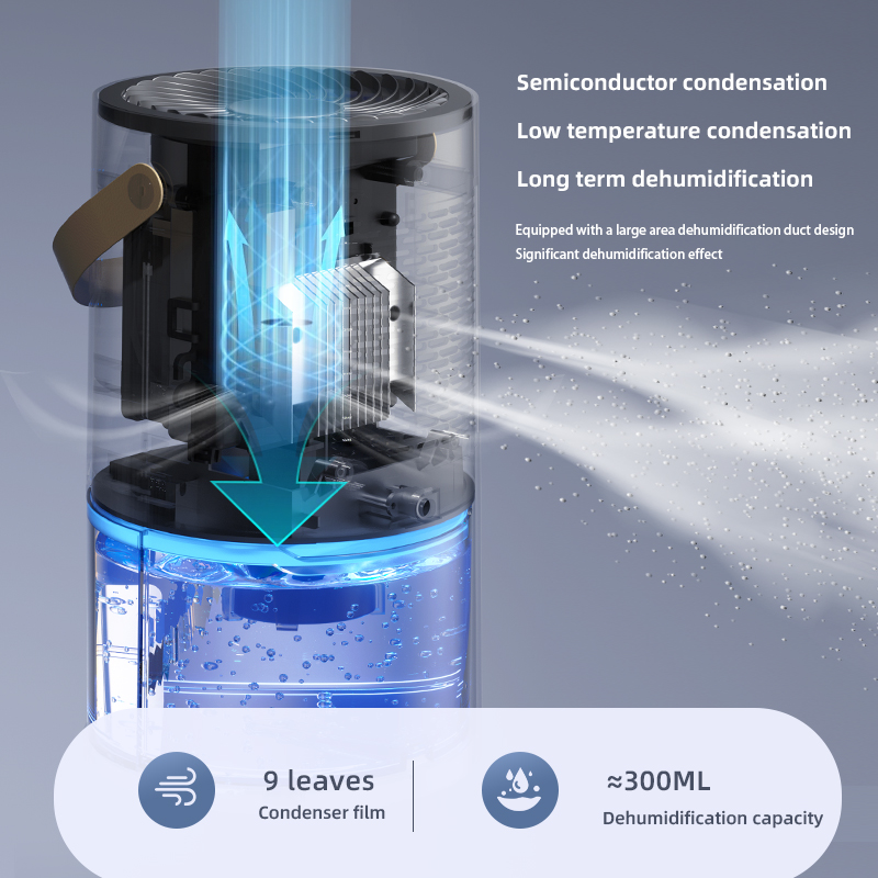 1000ml Dehumidifier Air Dryer  - Idli Steamer Mold avis et prix