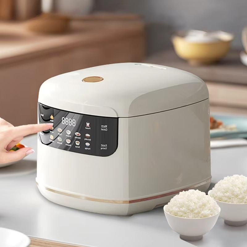 MultiCooker Electric Rice Cook - Home Cooking Oil Making Machine avis et prix
