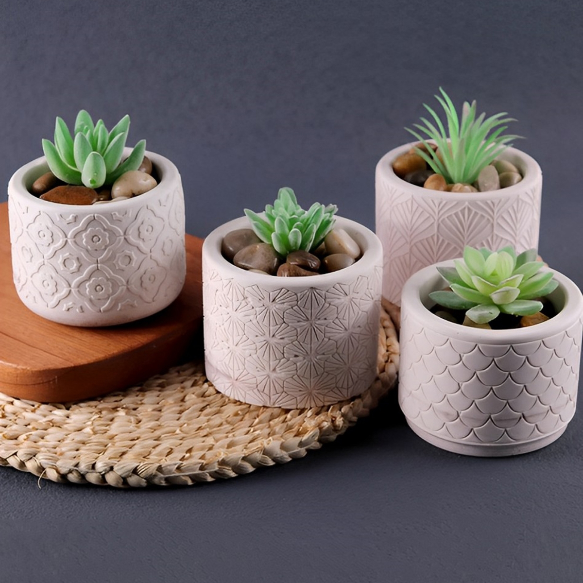 DIY Circular Storage Box Silic - Idli Steamer Mold avis et prix