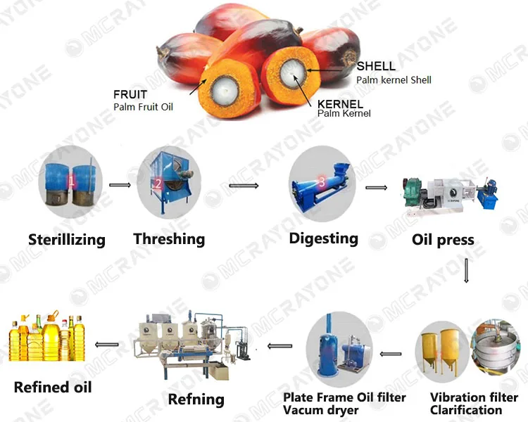 Palm Oil Extraction Machine Co - Home Cooking Oil Making Machine avis et prix