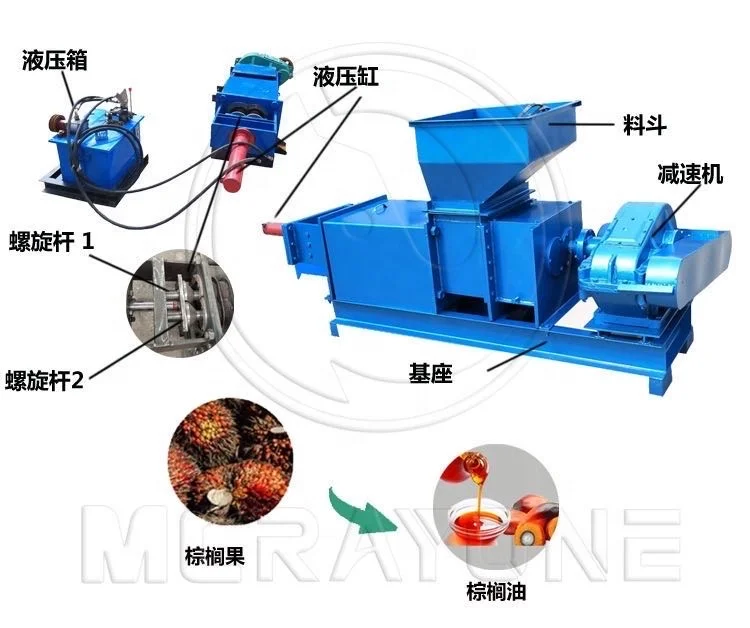 Palm Oil Extraction Machine Co - Home Cooking Oil Making Machine avis et prix
