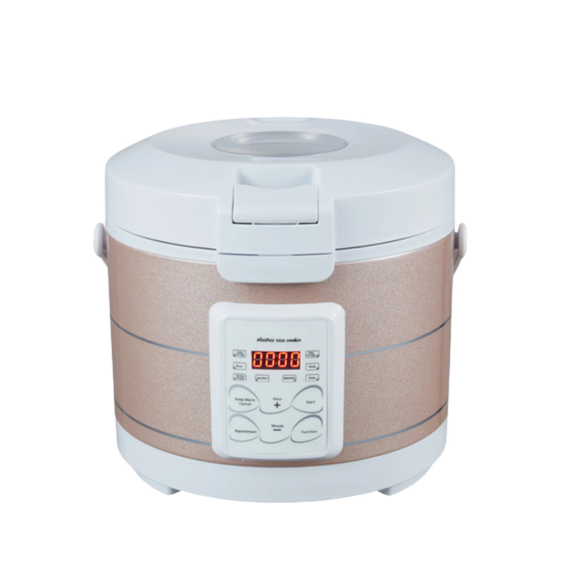 12-24V 220V Rice Cooker Soup S - Home Cooking Heater avis et prix