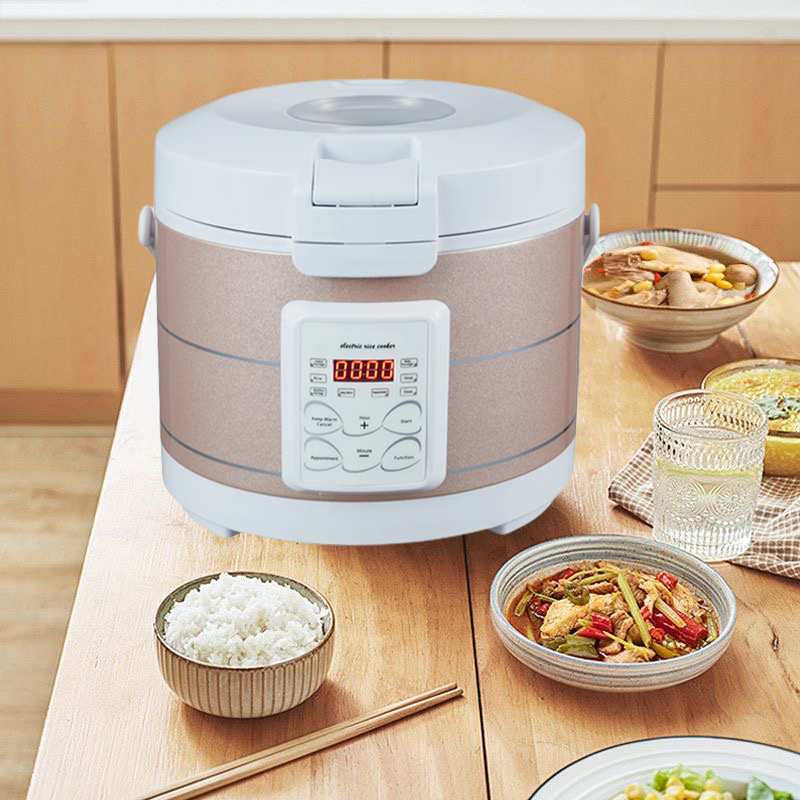 12-24V 220V Rice Cooker Soup S - Home Cooking Heater avis et prix